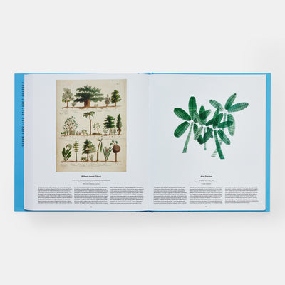 Tree: Exploring the Arboreal World