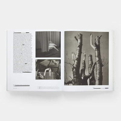 Vitamin C+: Collage in Contemporary Art