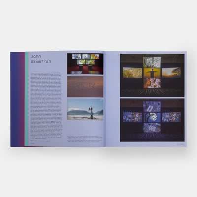 Vitamin V: Video and the Moving Image in Contemporary Art