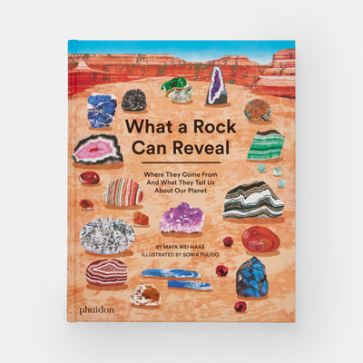 What a Rock Can Reveal: Where They Come From And What They Tell Us About Our Planet