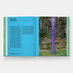 Where Art Meets Nature: The Sydney and Walda Besthoff Sculpture Garden