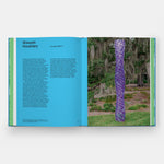 Where Art Meets Nature: The Sydney and Walda Besthoff Sculpture Garden