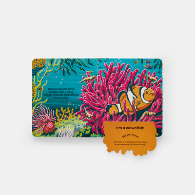 WHO'S HIDING? Under the Sea: A Lift-the-Flap Book