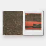 Theaster Gates: Young Lords and Their Traces