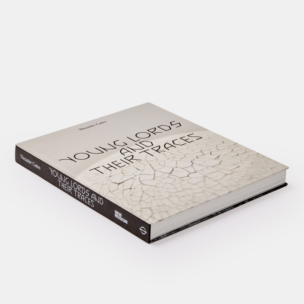 Theaster Gates: Young Lords and Their Traces