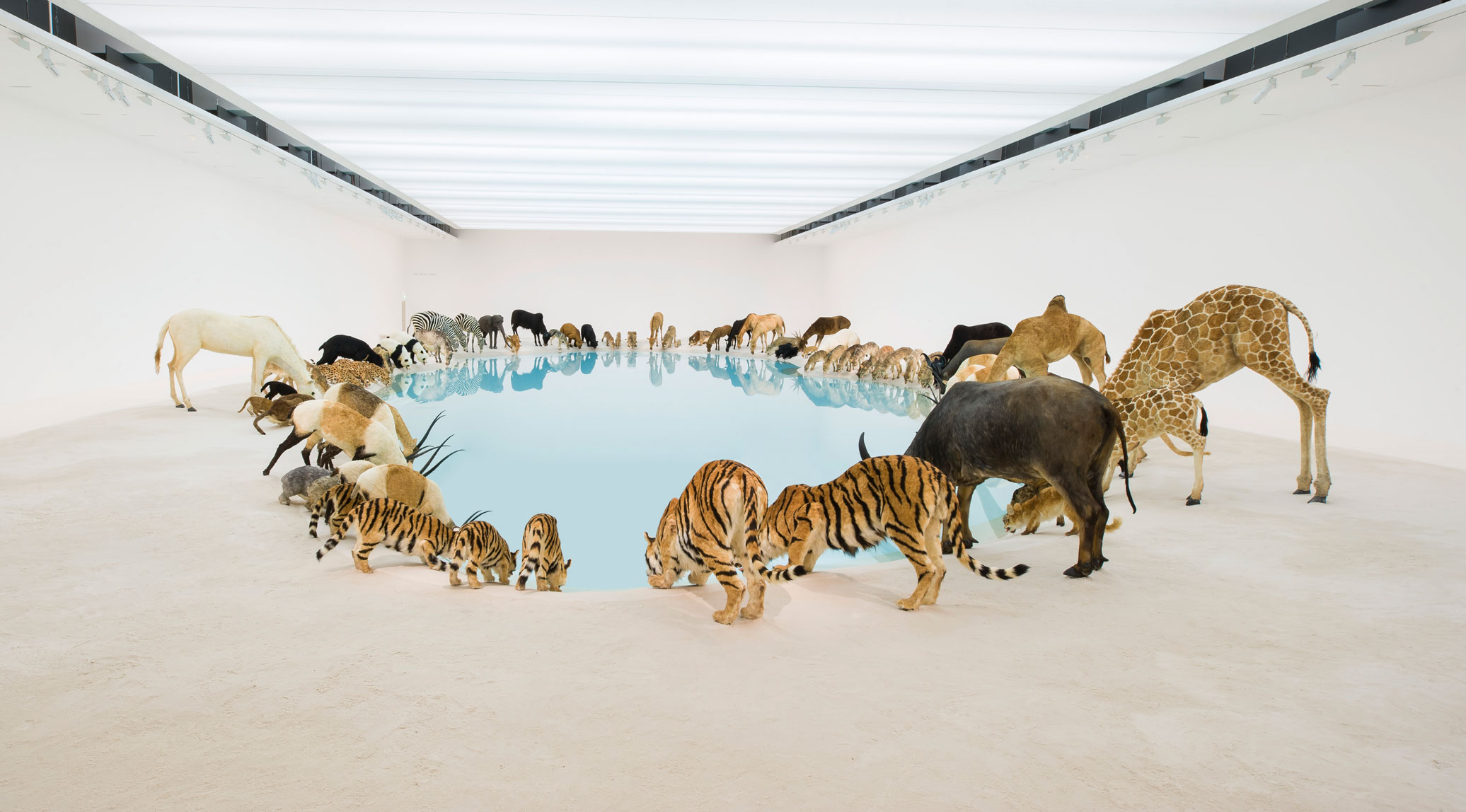 Heritage, 2013 - Cai Guo Qiang - Installation view, Queensland Gallery of Modern Art, Brisbane, 2013. As featured in our book Animal: Exploring the Zoological World