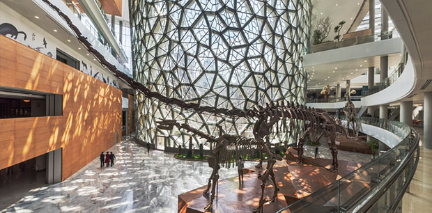 Shanghai Natural History Museum - photo courtesy Perkins + Will