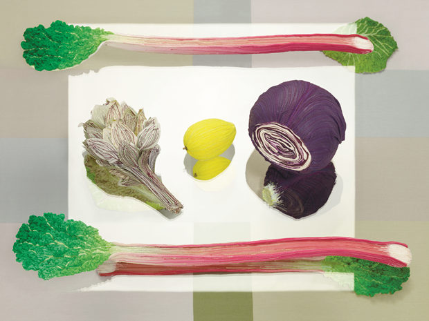 Vegetables (2009) by Scholten & Baijings