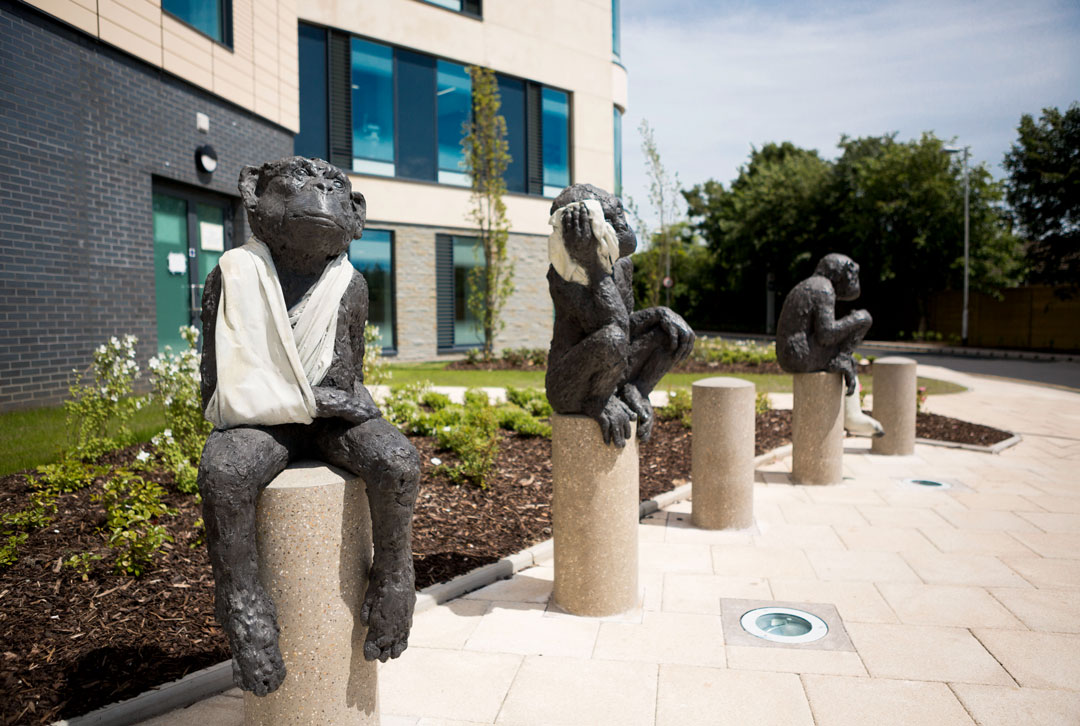 Patient Patients, 2014, Southmead Hospital, Bristol, UK, by Laura Ford
