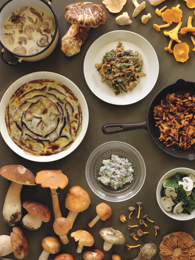 Clockwise from top left: Mushroom Soup; Creamed Mushrooms; Fried Mushrooms; Mushroom Salad; Finnish Salted Mushroom Salad; Mushroom Gratin. Photograph by Erik Olsson. From The Nordic Cookbook