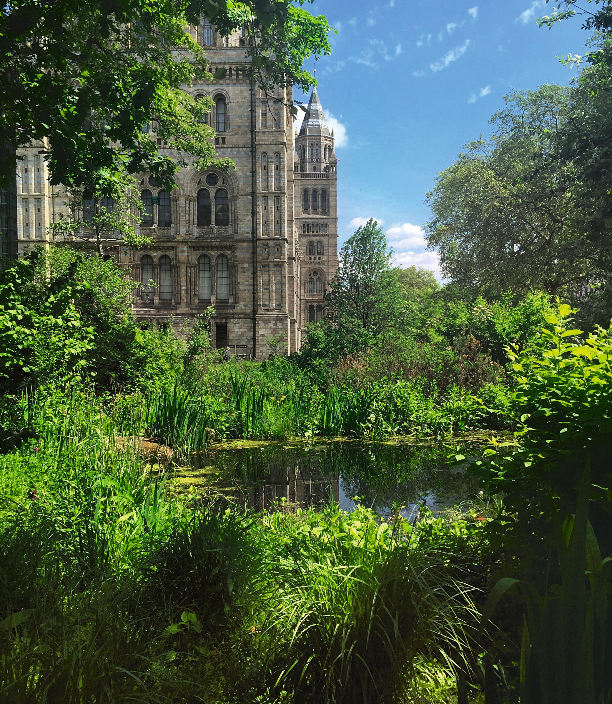 Wildlife Garden at the Natural History Museum, London from Green Escapes