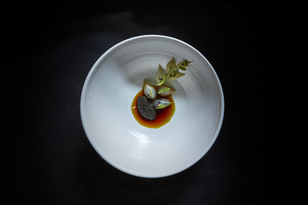  Finnish caviar and grilled onion with a broth of the charred onion skins and lemon verbena, from Aska