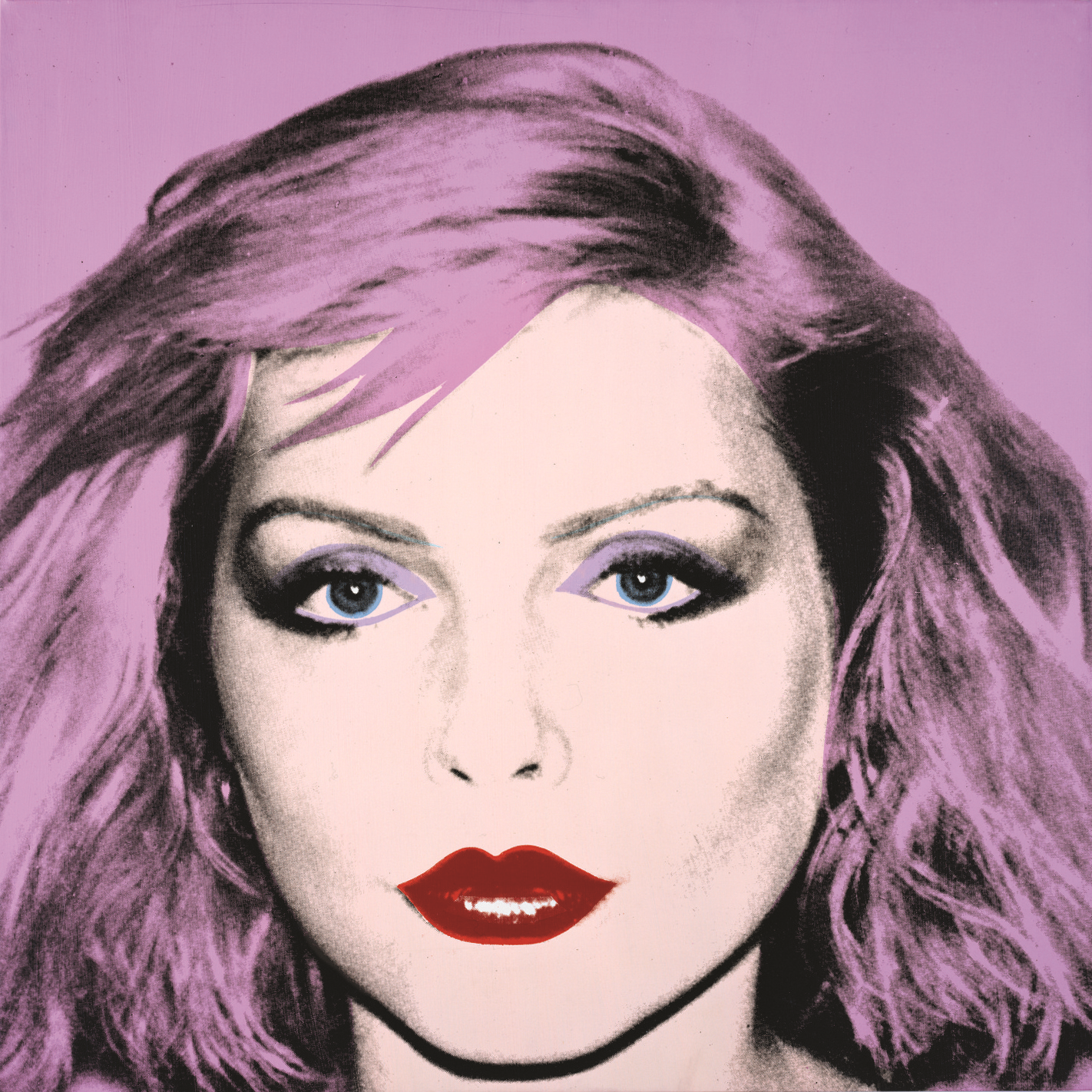 Debbie Harry (1980) by Andy Warhol. Private Collection / © The Andy Warhol Foundation for the Visual Arts, Inc. From Andy Warhol Portraits