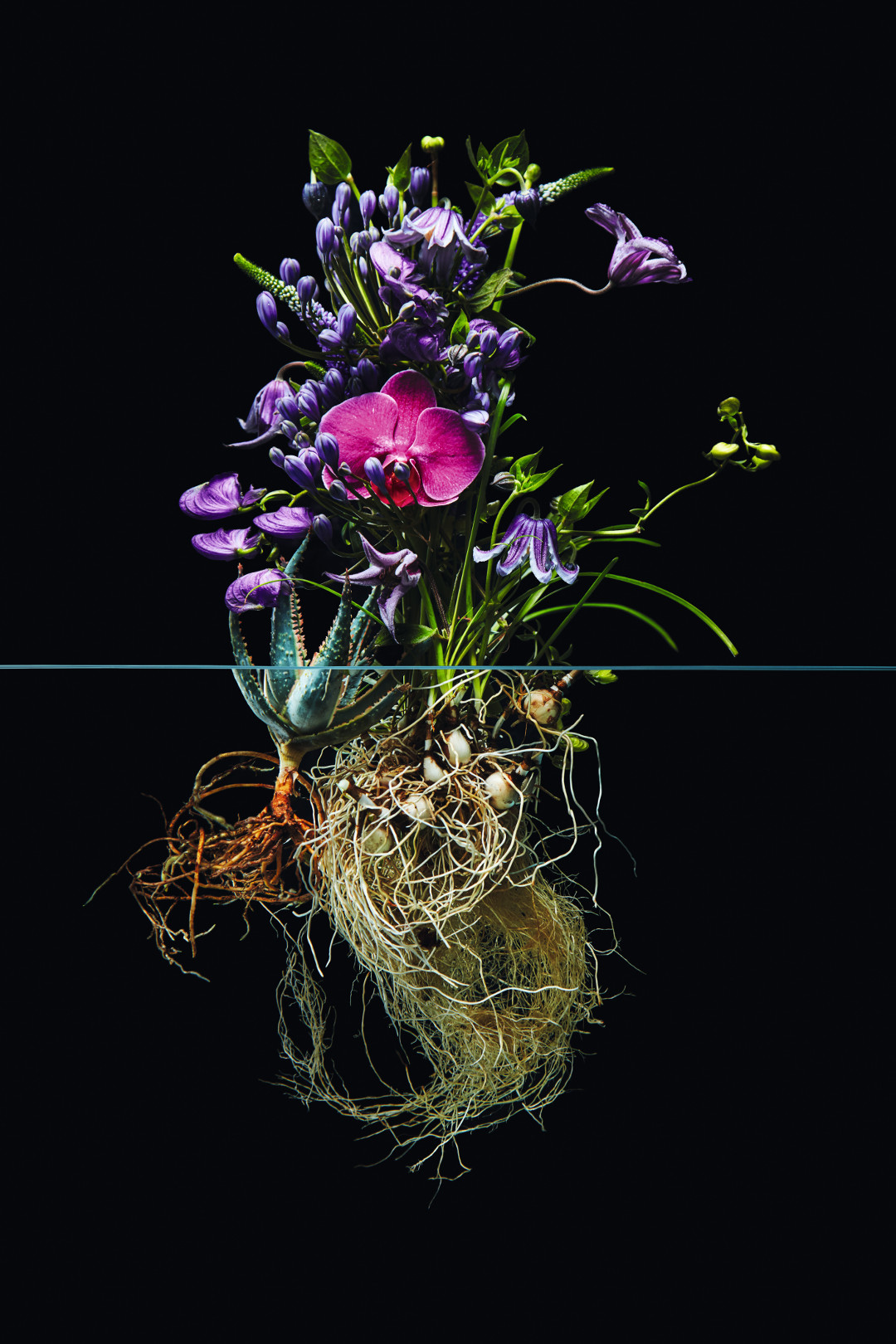 Azuma Makoto, Undersurface Flowers, 2018
