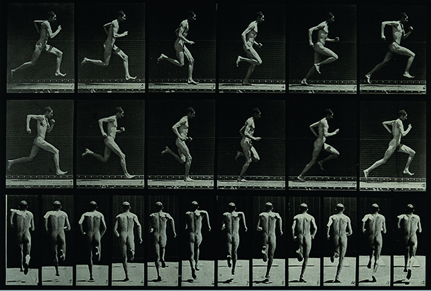 Eadweard Muybridge, A Man Sprinting, 1887, photogravure after collotype, 23.5 x 31.5 cm (9 1/4 x 12 1/2 in), Wellcome Library, London. As reproduced in Body of Art