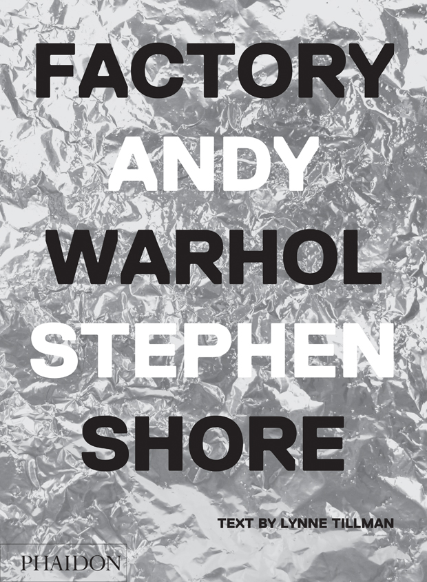 The cover of Factory Andy Warhol Stehen Shore