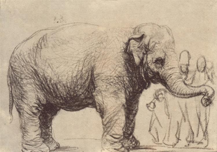 Rembrandt van Rijn, Elephant, 1637