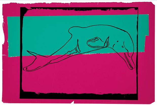 La Plata River Dolphin, silkscreen inks on colored paper collage, 12 x 18 in. (30.5 x 45.7 cm.), Executed in 1986 - Andy Warhol