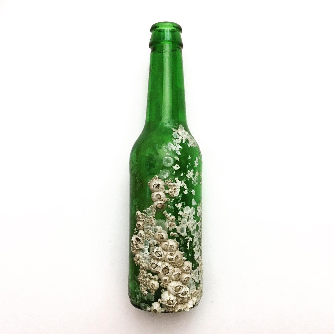 Doro Ottermann's barnacled beer bottle submission (courtesy of @dorobot)