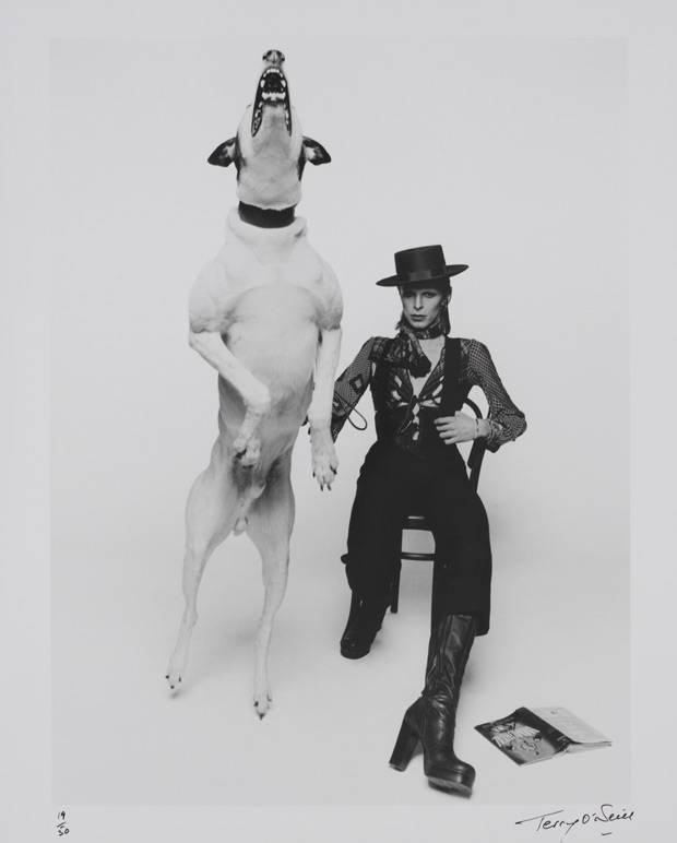 Diamond Dogs promo shoot copyright The David Bowie Archive 2012 image courtesy V&A Images
