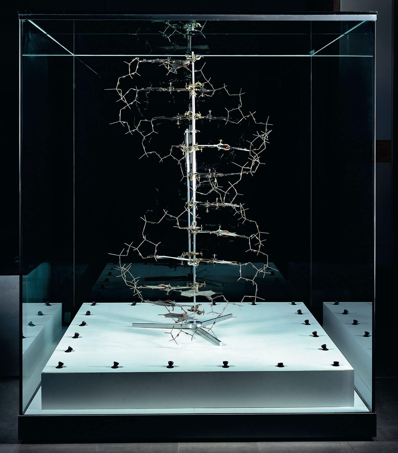 The original model created by James Watson and Francis Crick illustrates the double-helix structure of DNA. Photographed by Robert Clark, as featured in Evolution: A Visual Record