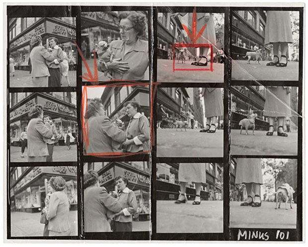 Chihuahua New York 1946 - Elliott Erwitt available on Artspace
