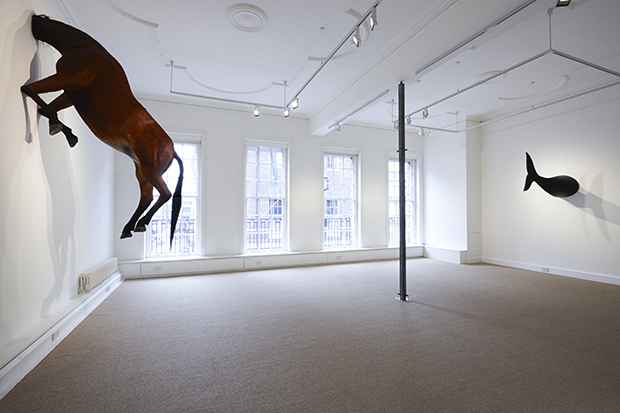 Untitled (2007) by Maurizio Cattelan and Coda di Delfino (1966) by Pino Pascali. Painted canvas stretched on wooden structure. Private Collection. Photo courtesy Luxembourg & Dayan. Photo © Will Amlot