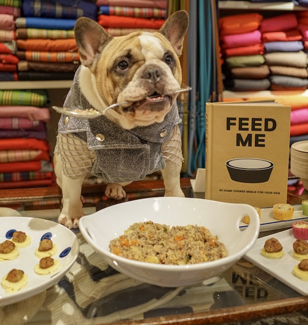 A very happy Cruz the Frenchie at our Feed Me launch, held earlier this week at Canine Styles, New York City