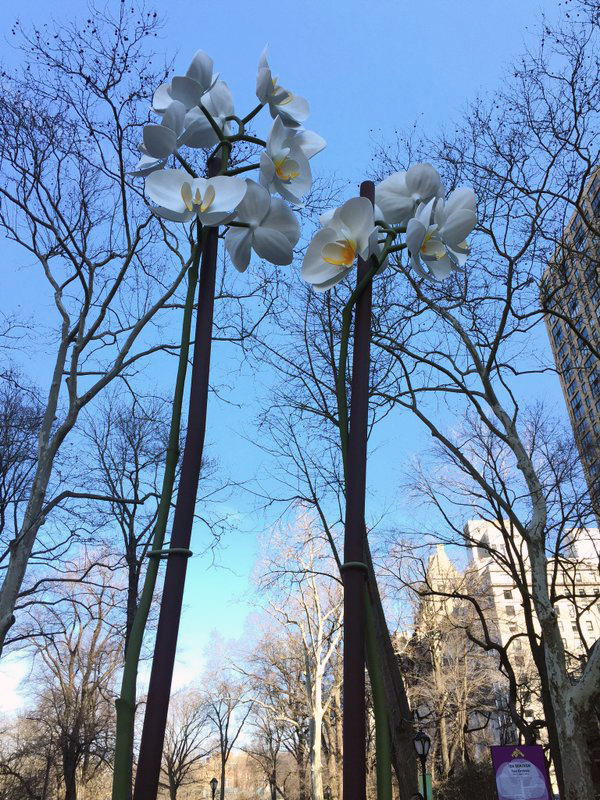 Two Orchids (2016) by Isa Genzken. Image courtesy of Central Park Conservancy
