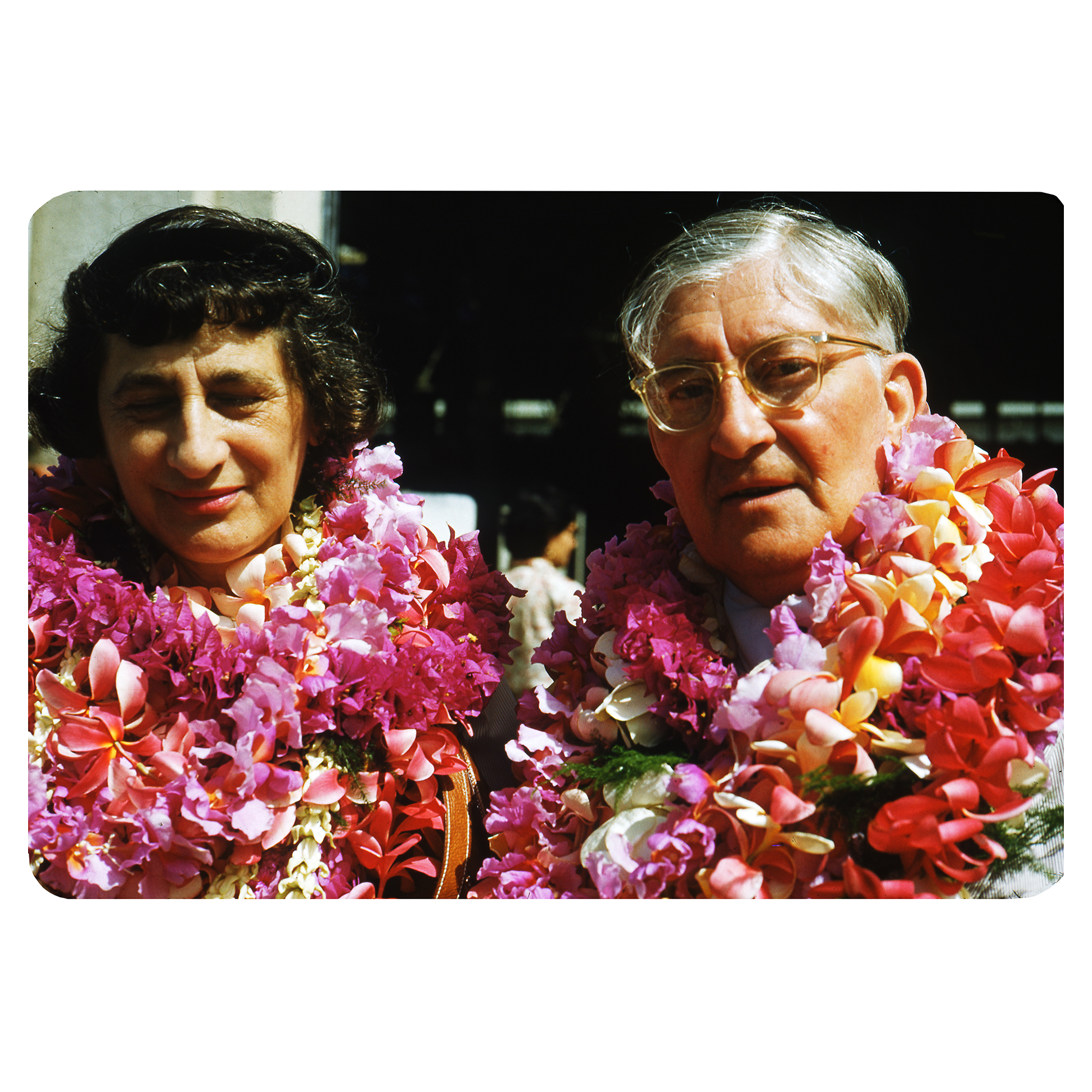 Josef Albers, Photographs of Hawaii, 1954. © 2020 The Josef and Anni Albers Foundation/ARS, NY/DACS.