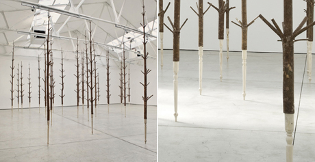 Alistair Mackie, Copse, 2011 pine trees dimensions variable, image courtesy All Visual Artists, photography Tessa Angus