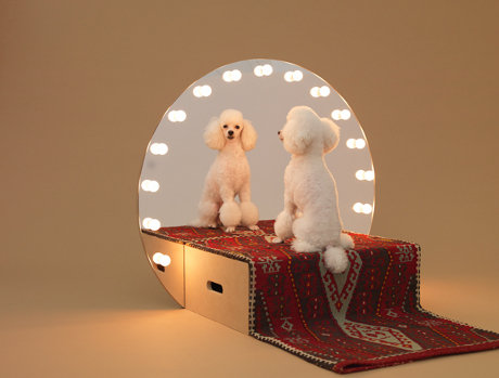 Paramount for poodles, by Konstantin Grcic