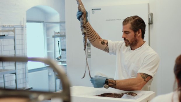 Lars Williams, head of research and development at Noma handles a squid in the new video