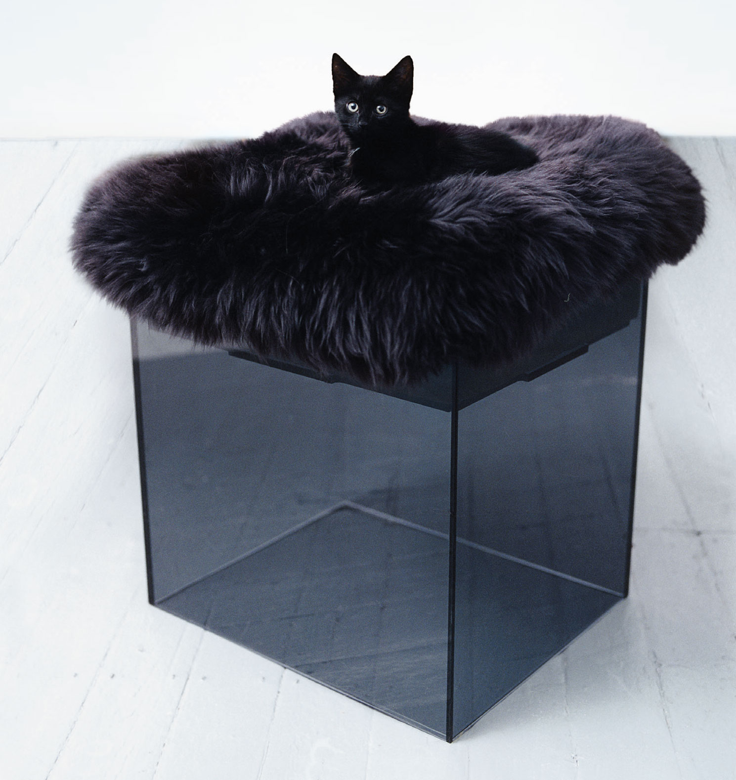 Loulie Cat Tower by BOWOW London