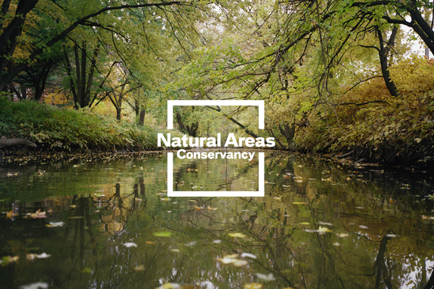 Pentagram's new identity for the Natural Areas Conservancy uses photography by Joel Meyerowitz 