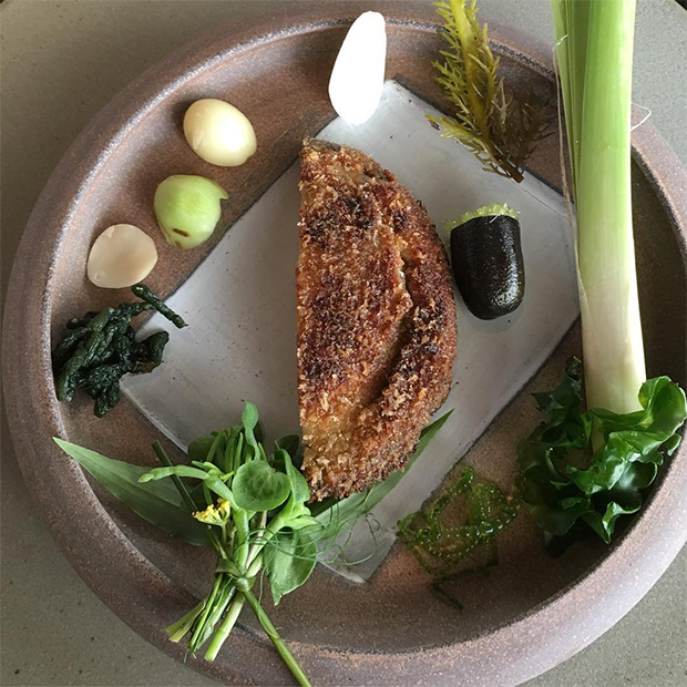 balone schnitzel with sea lettuce, nuts and rushes. Image courtesy of Wild Fooding's Instagram