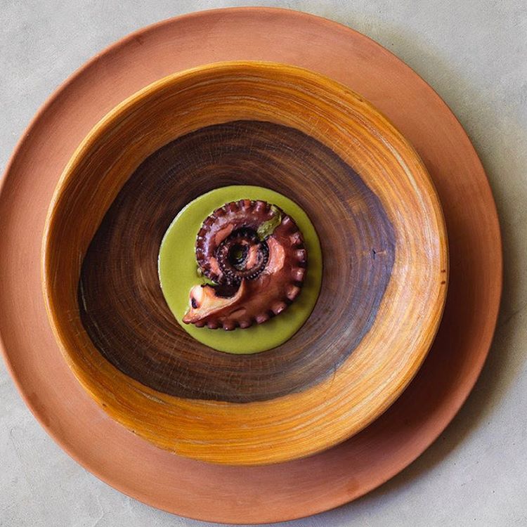 Noma Mexico's just cooked octopus with dzikilpak,