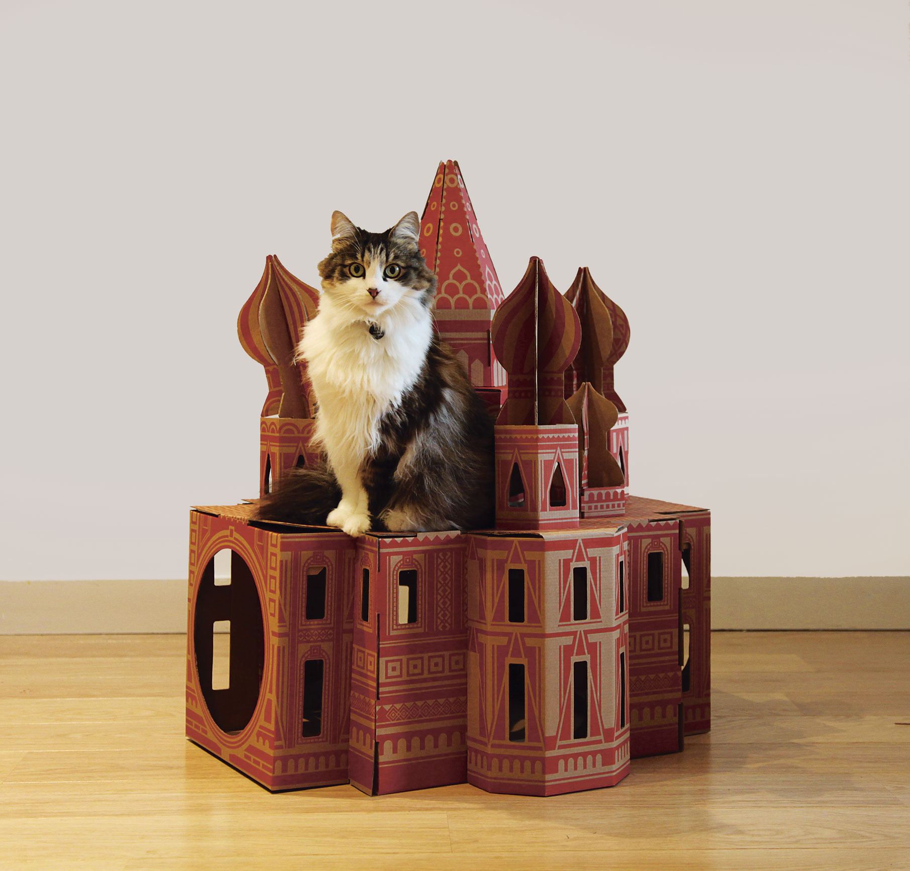 Lily poses on Landmarks by Poopy Cat from Pet-tecture