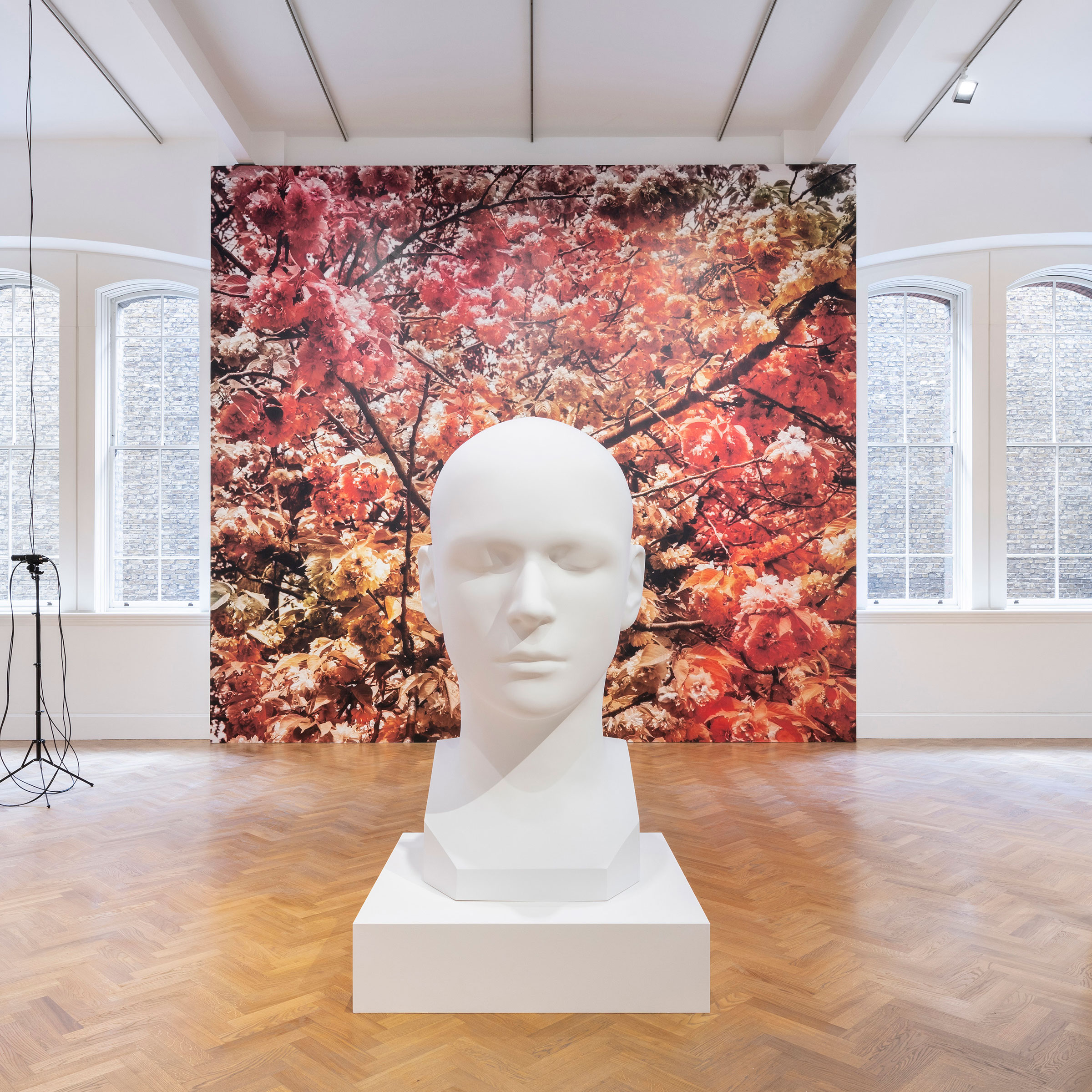 Installation view of Bloom, Trevor Paglen's new exhibition at Pace, London, September 2020