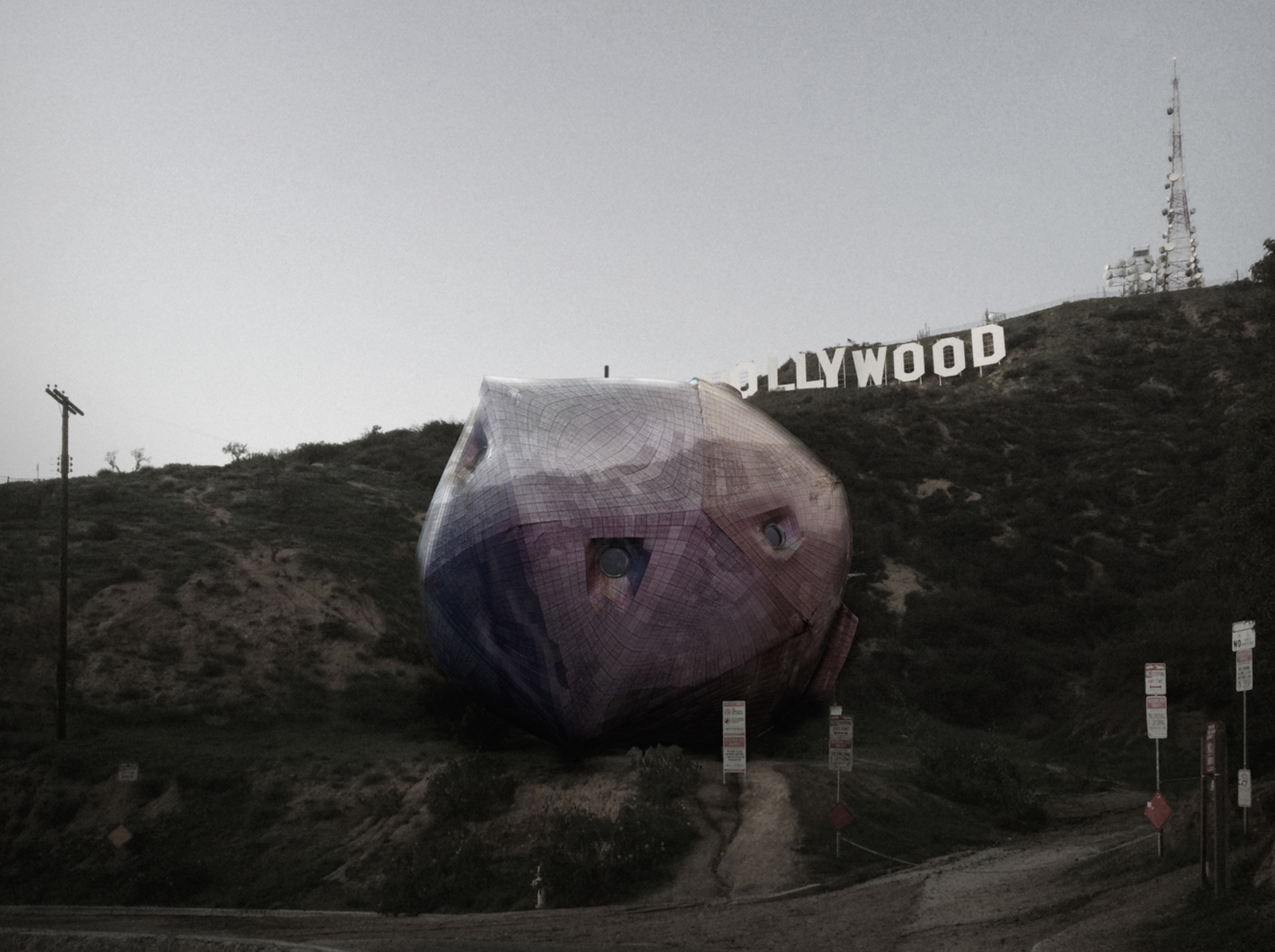 Hollywood Home - Hirsuta - image courtesy Hirsuta
