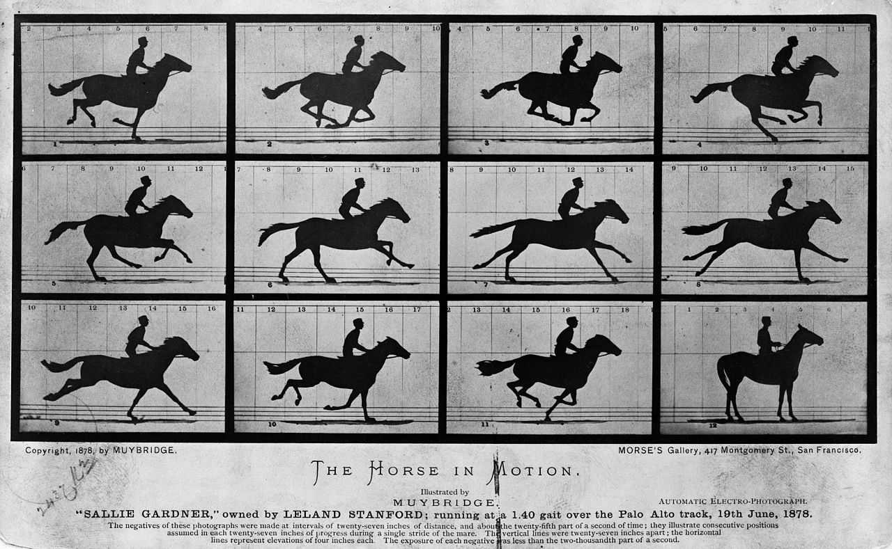 Eadweard Muybridge's The Horse in Motion, 1878
