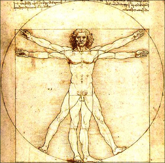 The Vitruvian Man (circa 1490) by Leonardo da Vinci