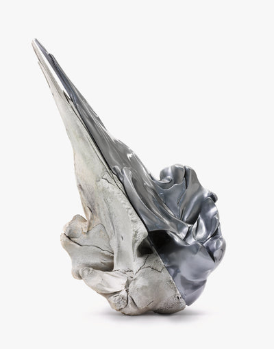 Hrefna, Milos Ristin, 2013. The Iceland Whale Bone Project. Photo by Emile Barret