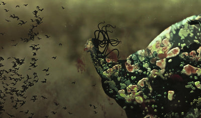 abstract illustration of a fantastical creature with flowing hair and textured scales amidst a swarm of silhouetted birds against a muted background