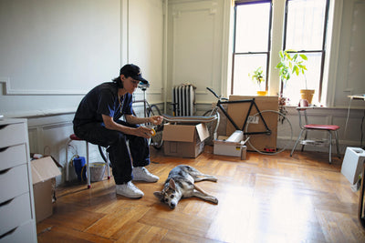 person sitting on a chair in a room with a dog on the floor surrounded by boxes and plants near windows