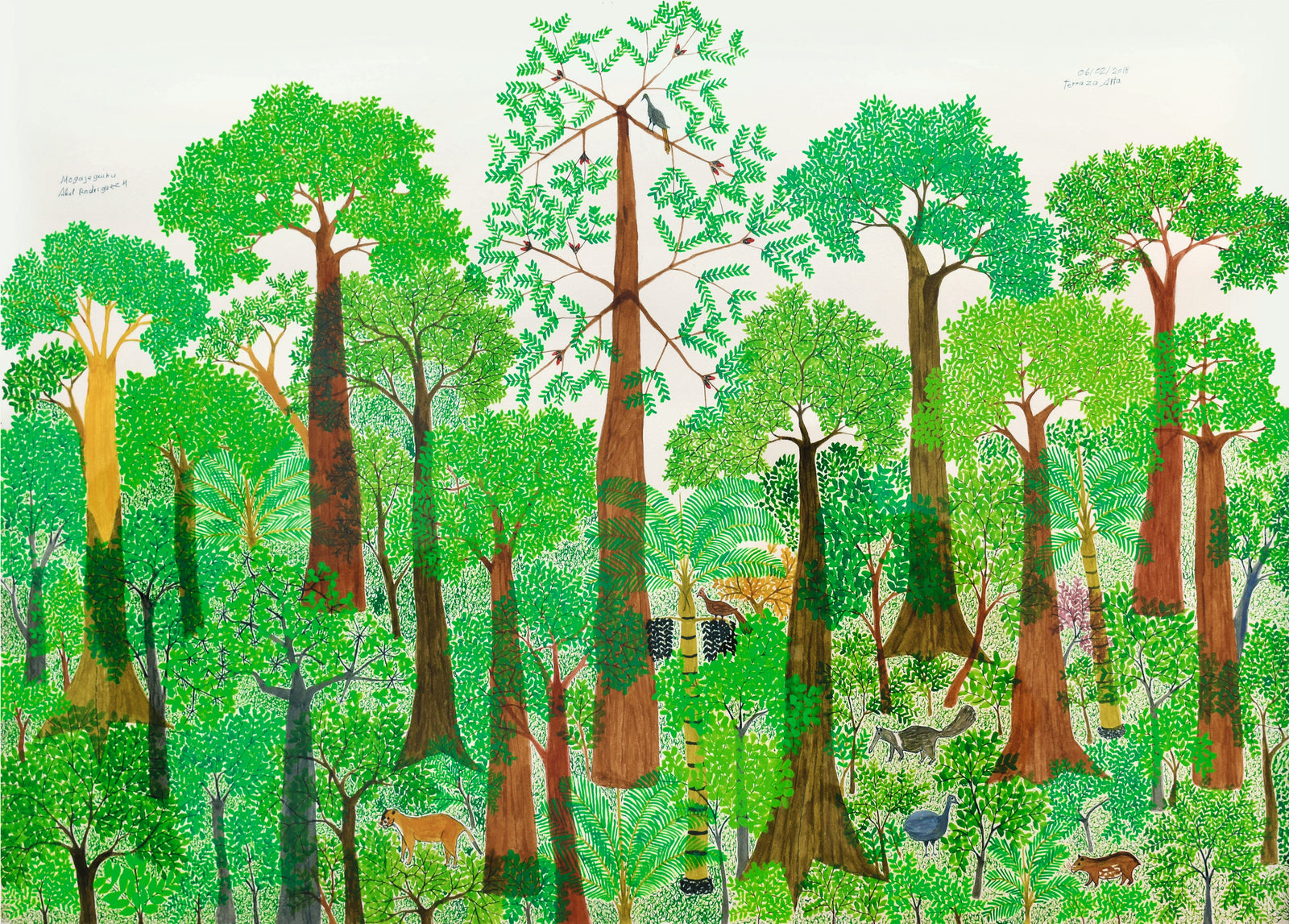 Abel Rodríguez (Mogaje Guihu), Terraza Alta II, 2018. Picture credit: Courtesy Abel Rodríguez (Mogaje Guihu) and Instituto de Visión / Photo: María Paula Bastidas Ink on paper, 70 × 100 cm / 271/2 × 393/4 in, Private collectionfrom Tree