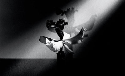 Black and white photograph of flowers by Mapplethorpe with artistic floral arrangement