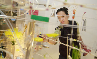 Sarah Sze and Okwui Enwezor interview banner image 900x450