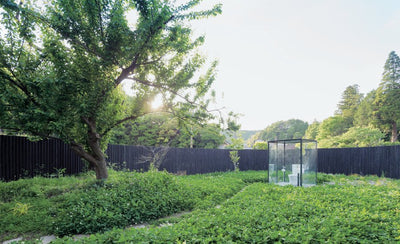 sou fujimoto architectural design excerpt modern building exterior with glass and metal elements