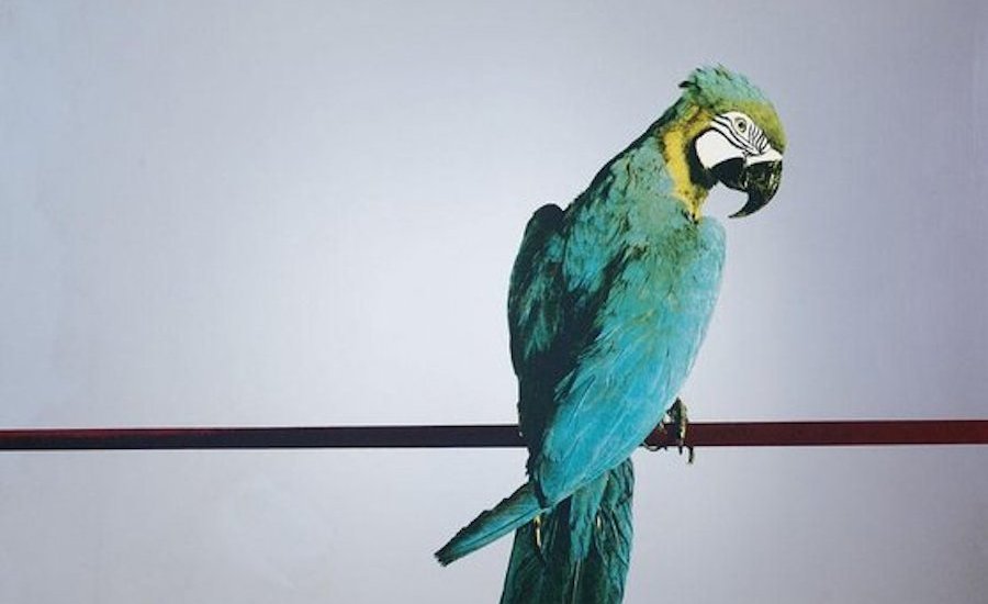 6 colorful abstract artworks displayed on a wall perfect for home decor